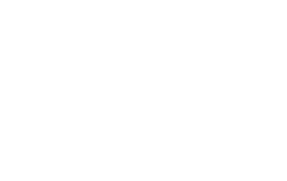 logo du partenaire en blanc