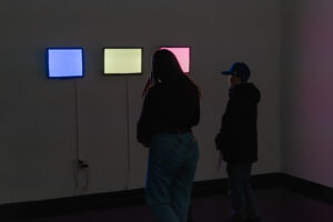 « COULD YOU TAKE A PICTURE ? » DE CINZIA CAMPOLESE