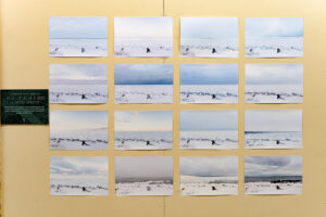 Auteur·e·s sans titre · Étudiant·e·s en photographie du Cégep de Matane